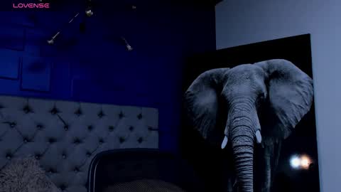 rocco_santos online show from 09-21-25, 07:21