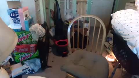 rocky082288 online show from 01-09-25, 01:24