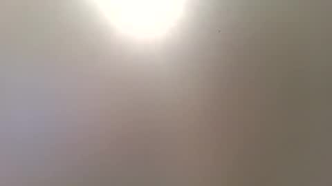 Trinked online show from 12-16-25, 10:31