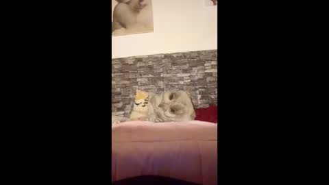 romylachienne online show from 01-18-26, 02:59