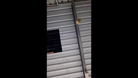 Snapshot of ronabater chatting on 01-11-26, 08:36 ronabater online show from 01-11-26, 08:36