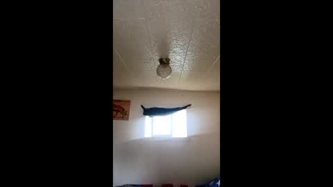 Snapshot of ronnieprovost996 chatting on 05-22-26, 11:21 ronnieprovost996 online show from 05-22-26, 11:21
