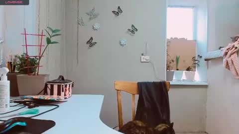 Snapshot of rosa843850 chatting on 02-02-25, 02:13 rosa843850 online show from 02-02-25, 02:13