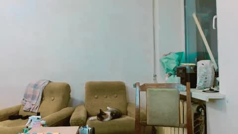 Snapshot of rosa843850 chatting on 02-28-25, 01:47 rosa843850 online show from 02-28-25, 01:47