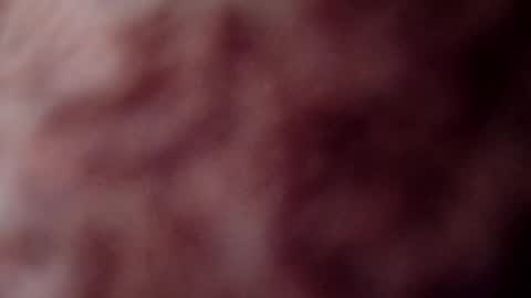 Snapshot of rose12161216 chatting on 11-03-25, 03:13 rose12161216 online show from 11-03-25, 03:13