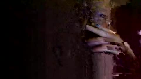 Snapshot of rotorranch chatting on 10-02-25, 06:31 rotorranch online show from 10-02-25, 06:31