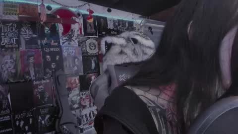 rot online show from 03-01-26, 06:10