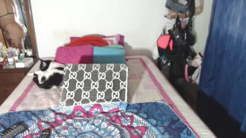 Snapshot of rousse_ellise1 chatting on 12-29-24, 02:49 rousse online show from 12-29-24, 02:49