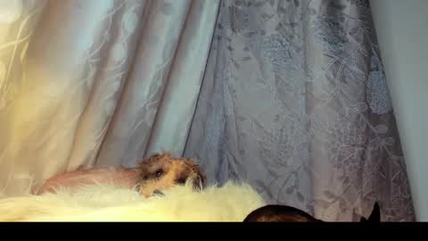 Rosita online show from 02-26-26, 06:01