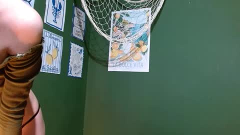 Roxie online show from 09-26-25, 02:26