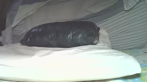 Snapshot of rudisuzzy chatting on 06-04-26, 06:14 rudisuzzy 1 online show from 06-04-26, 06:14