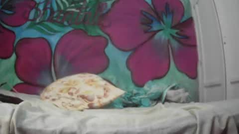 Snapshot of ryan_chocolate_horny chatting on 07-20-26, 12:58 Javier online show from 07-20-26, 12:58