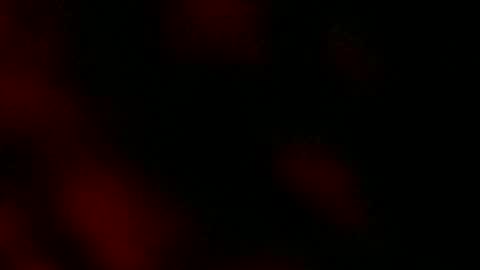 Snapshot of ryanstar7 chatting on 01-18-25, 08:10 Ryan Star online show from 01-18-25, 08:10