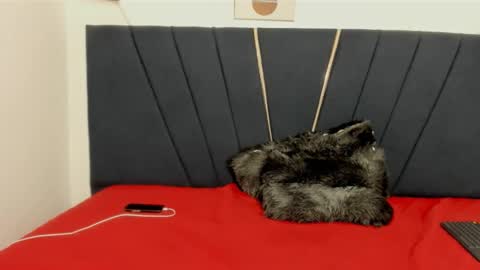 ryder_cum23 online show from 11-12-25, 03:40