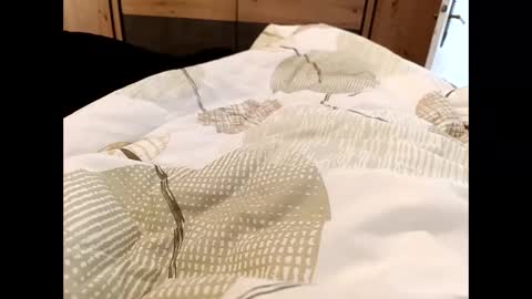 s_xp__ online show from 12-19-25, 11:28