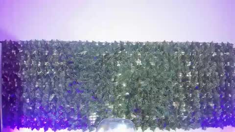 Sabina Merchetti online show from 03-17-26, 12:26