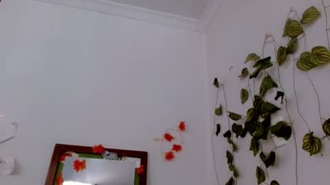 SABRI online show from 06-17-26, 04:41