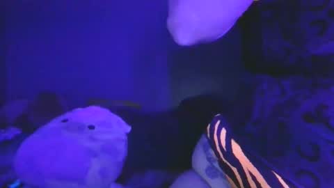 Snapshot of saddybaddie chatting on 03-13-26, 06:09 saddybaddie online show from 03-13-26, 06:09