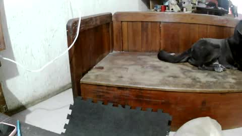 ruby  chocoholic cakeholic coffeeholic cookieholic online show from 04-24-26, 12:24