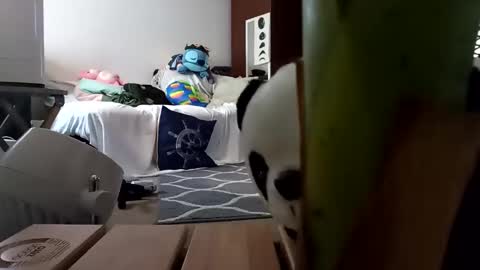 Snapshot of salis1981 chatting on 02-08-25, 01:54 salis1981 online show from 02-08-25, 01:54