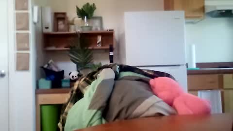 Snapshot of salis1981 chatting on 10-16-25, 06:31 salis1981 online show from 10-16-25, 06:31