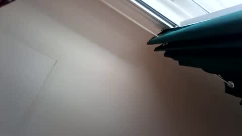 salis1981 online show from 12-13-25, 07:53