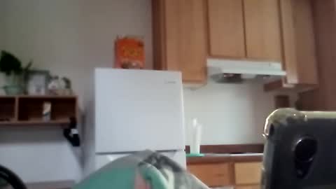 salis1981 online show from 12-17-25, 11:55