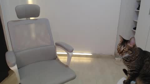 Salome online show from 10-19-25, 03:34