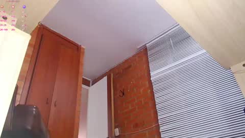 Snapshot of salome_sw chatting on 02-27-25, 10:20 SAMANTHA online show from 02-27-25, 10:20