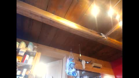 salsapaulus online show from 04-13-26, 12:10