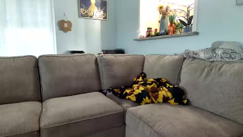 Salty Captain 69  Hat Girl 69 online show from 09-19-25, 09:37