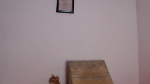 salvatore_amator online show from 04-26-26, 02:04