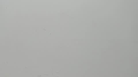 SALVATORE online show from 02-06-25, 11:10