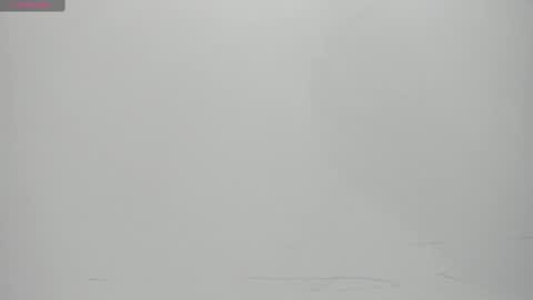 SALVATORE online show from 02-14-25, 11:10