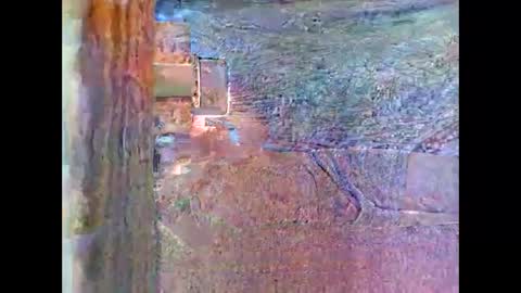 Snapshot of sam5554401727 chatting on 04-26-26, 08:28 sam5554401727 online show from 04-26-26, 08:28