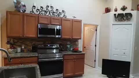 sam_papithebarber online show from 11-06-25, 04:24