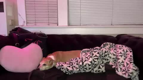 samanthafever online show from 04-07-26, 11:54