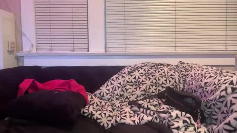 samanthafever online show from 04-11-26, 02:38