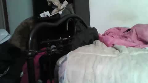 Samedisamedi1nouveau online show from 12-05-25, 05:42