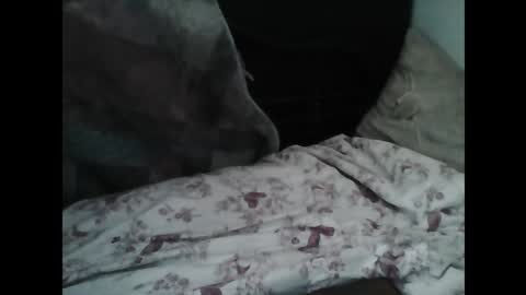 Samedisamedi1nouveau online show from 03-07-26, 10:12