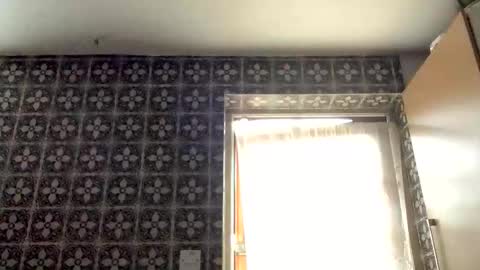 samegee online show from 10-16-25, 07:20