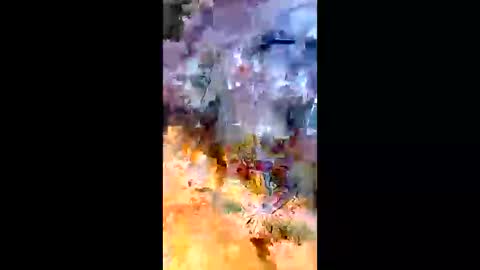 sameroptike67 online show from 04-20-26, 12:35