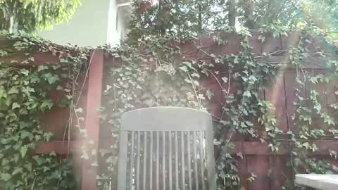Playful Sammie online show from 05-17-26, 08:05