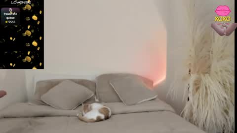 sammy_jhonson25 online show from 03-29-26, 11:05