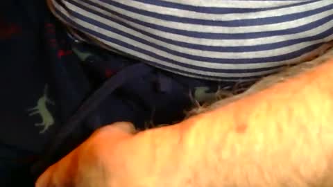 Sam online show from 01-09-26, 11:50