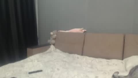 sandra_smith3007 online show from 03-01-26, 11:01