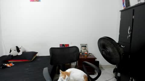 Snapshot of santiceballo chatting on 07-17-26, 06:09 Julius Novachrono online show from 07-17-26, 06:09