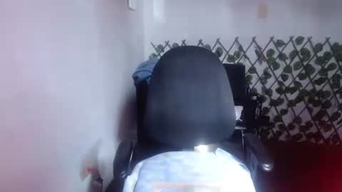 tania online show from 07-24-26, 08:40