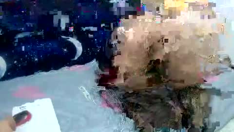 Sara love online show from 02-02-25, 03:54