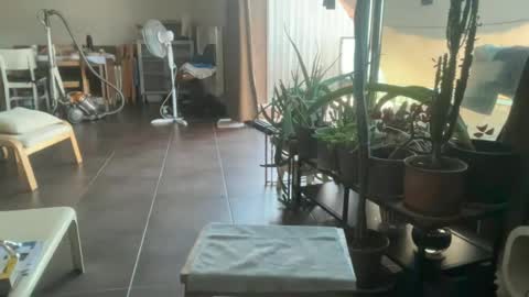 Snapshot of sarafossette chatting on 06-29-26, 11:10 Sara Fossette online show from 06-29-26, 11:10